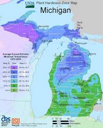 michigan hardiness zone map reliable plants and hardy