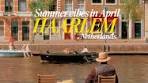 Unforgettable Experiences in Photogenic Haarlem, Netherlands - TikTok