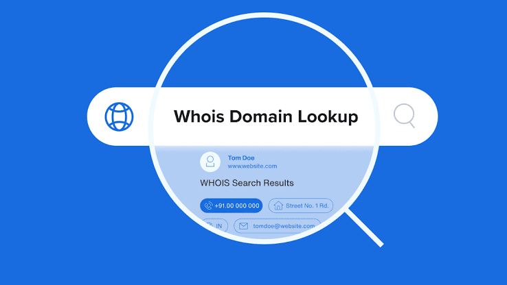 Layanan Cek Whois dengan Sentuhan Satir dan Humor Lokal