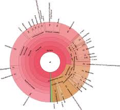 krona chart of bacteria from chicken cecum from 919 of the