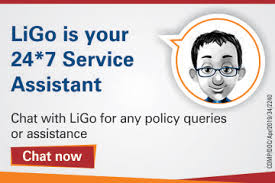 $250,000 policy for $15 a month. Online Life Insurance Services Icici Prulife