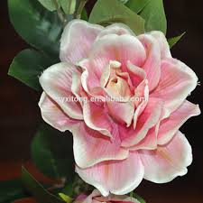 Choose from 50+ fake flowers graphic resources and download in the form of png, eps, ai or psd. L Silk Fabric Chinese Spring Color Gardenia Artificial Flower Buy Plum Colored Artificial Flowers Bulk Artificial Flowers Cheap Artificial Flower Product On Alibaba Com