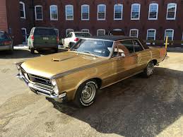 Image result for Tiger Gold 1965 GTO