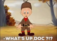 Bugs bunny gifs images and graphics. Bugs Bunny Gifs Tenor