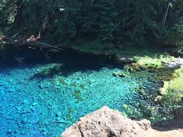 Oregon Tamolitch Blue Pool Via Mckenzie River Trail Is A 3 7 Mile Moderately Trafficked Out And Back Trail Lo Oregon Travel Blue Pool Oregon Blue River Oregon
