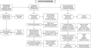 Hypothyroidism An Overview Sciencedirect Topics