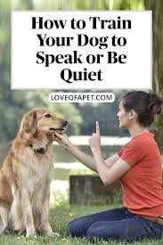 How To Teach Your Dog The Quiet Command Love Of A Pet In 2020 Dogs Dog Pet Beds Your Dog