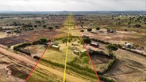 Image result for Blotiella trichosora