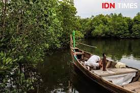 Hutan bakau kedua terbesar di dunia. Hutan Bakau Kedua Terbesar