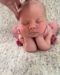 Andrea Osborne Photography