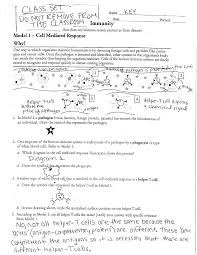 Alfred pasieka/science photo library / getty images. Immunity Packet Answer Key Studocu