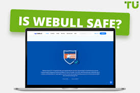 Webull will pass on to you the small regulatory fees that are charged on proceeds of sales, but these are usually pennies per trade and are passed onto investors by all brokers. Is Webull Safe Is Webull Legit Honest Answers About Webull