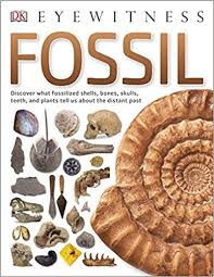Fossil Dk Eyewitness Amazon Co Uk Dk Books Fossil Prehistoric Creatures Geologic Time Scale