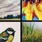 Monthly Acrylic Painting classes event image
