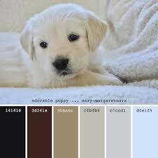 Adorable Puppy Mary Margaretmarx Color Colors Colour Colours Colorpalette Colorpalettes Colourpalet Color Palette Color Palette Design Color Pallets
