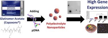 A generic drug is an exact copy of the active drug in a. Glatiramer Acetate Copaxone Is A Promising Gene Delivery Vector Molecular Pharmaceutics X Mol