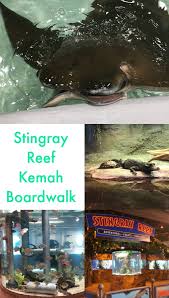 Stingray Reef At Kemah Boardwalk Texas Kemah Boardwalk Vacation Trips Travel Spot