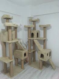 Bilgi Ve Siparis Icin Irt Sezgin Sariboyaci 0507 664 22 22 Kedi Evi Kedi