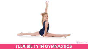But learning how to do one can be a slow process, says the scale is the standing balance move required in a gymnastics floor routine. Flexibility In Gymnastics Why It S Important And How To Improve It