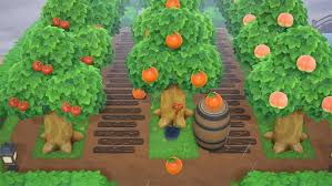 You need to make decisions on row direction. 15 Acnh Orchard Designs Ideas Inspiration To Try Fandomspot