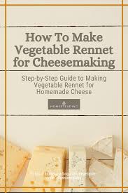 Pin On Cheesemaking For Beginners Homesteading