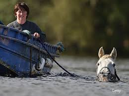 Learning English Grammar Vocabulary Pronunciation You Can Lead A Horse To Water