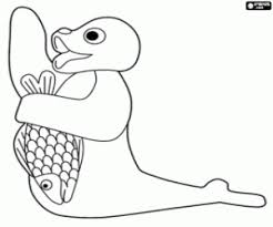 Desenhos de focas para imprimir e colorir. A Foca Robby Com Um Peixe Para Colorir E Imprimir