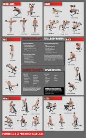You might say dumbbell doesn't look that hard since anyone can do it even at home, but it doesn't mean you c 10 Best Free Printable Workout Charts Exercises Printablee Com