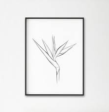 Flying Bird Of Paradise Drawing Bird Of Paradise Plant Print Tropical Flower Decor Plants Wall Art Modern Art Minimalist Art Black And White Flower Drawing Line Art Birds Of Paradise Plant Paradise Plant Bird Of Paradise