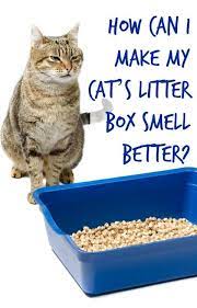 If You Re A Little Lazy About Cleaning Out The Cat Litter Boxes Here Are A Few Tips For Controlling The Bad Litter Box Smell Best Cat Litter Cat Litter Smell