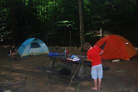 Explore an array of lake george, ny vacation rentals, including houses, cabins & more bookable online. Site 243 Picture Of Hearthstone Point Lake George Tripadvisor