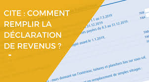 Votre déclaration aura désormais un double objectif : Cite Comment Bien Remplir Sa Declaration D Impots En 2020