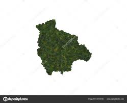 Top View Forest Trees Forming Map Bolivia Top View Environmental Stock  Photo by ©MikeEdwards 540108106