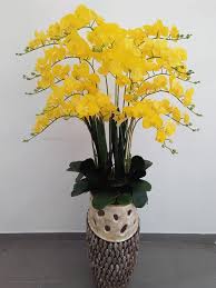 Check spelling or type a new query. Orkid Kuning 15 Tangkai 5 Kaki Wasp Gubahan Bunga Murah Facebook