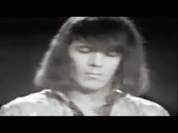Proof that an old iron butterfly boosted by session guys and a flash no name guitarist, should never be seen never mind heard. Iron Butterfly In A Gadda Da Vida 1968 Original Full Version Cd Sound 3d Video Youtube