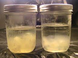 The mixture is sterilised and inoculated with mycelium. Lc Mushroom Cultivation Shroomery Message Board