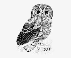 Reviewing 5 inks for drawing. Owl Illustration Ink Illustrations Art Drawings Owl Pen And Ink Drawing Transparent Png 500x646 Free Download On Nicepng