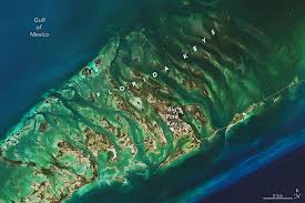 Are Water Temps In Florida Keys Truly Record Setting? It'S Complicated...