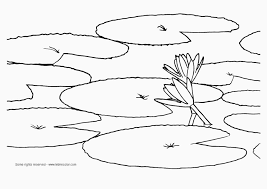 Students must evaluate the math problems on two, three, four, or even five connected lily pads and must direct the frog to hop on the lily pad with the math problem that yields the. Lily Pad Coloring Page Coloring Pages Coloring Home