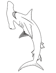 They can grow to be 20 feet long! Hammerhead Shark Coloring Page Hammerhead Shark Free Printable Coloring Pages Animals