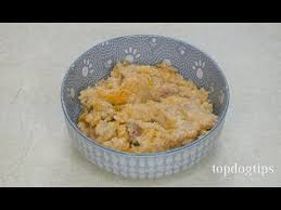 Making homemade dog food for arthritis can be tricky, because you need to ensure that the recipes you choose provide adequate and balanced nutrition. Homemade Tuna And Shrimp Dog Food Recipe Low Fat And Low Carb Youtube