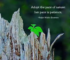 Beauty Break 132 Nature Quotes Ralph Waldo Emerson Quotes Nature