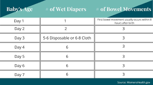 Sometimes twice in an hour. Everything You Need To Know About Breastfeeding Walnut Hill Obgyn