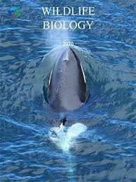 Detector dogs australia is a group of industry professionals who have spent a lifetime in our chosen field of expertise and believe that we can do it better. Volume 2020 Issue 2 Wildlife Biology