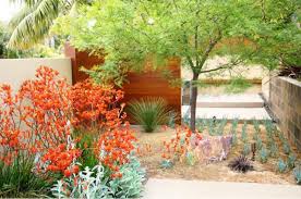 A Fabulous Yard Drought Tolerant Landscape Design Drought Tolerant Landscape Landscape Design