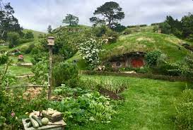 Warum sollte sie es bekümmern, dass sie sich nicht auf die straße traut, die leute ihren drachen für einen. Hobbingen Ein Besuch Bei Den Hobbits In Hobbiton Peterstravel