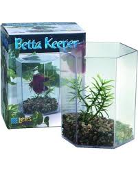 The aqueon betta falls kit is a beautifully designed aquarium suited for fish who like to live alone. Aqueon Betta Falls Kit Renewed