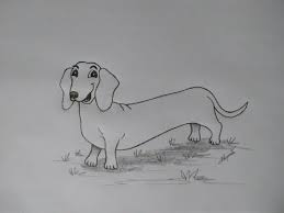 Son 100 caracteristicas aqui te doy unas cuantas Como Hacer Una Caricatura De Un Perro Salchicha Bien Facil How To Make A Caricature Of A Dog Youtube