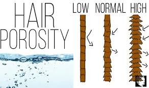 If the water droplets on the surface linger for longer, your hair is low in porosity. Knowing Your Hair Porosity Is The Key To Healthy Luscious Hair Ahs India