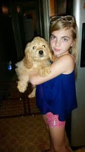 Maybe you would like to learn more about one of these? Cavapoo Puppies Pets And Animals For Sale North Carolina
